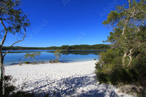 A still morning at Lake McKenzie on Fraser Island in Australia