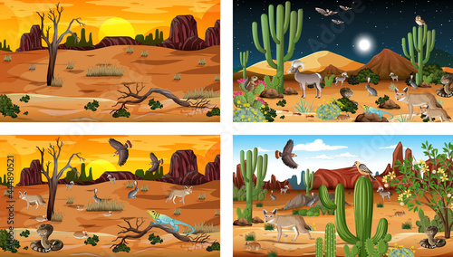 Four different desert forest landscape scenes with animals and plants