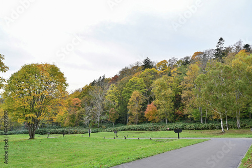 Fototapeta Naklejka Na Ścianę i Meble -  ちょうど見頃の紅葉に囲まれた晩秋のキャンプ場の情景＠北海道