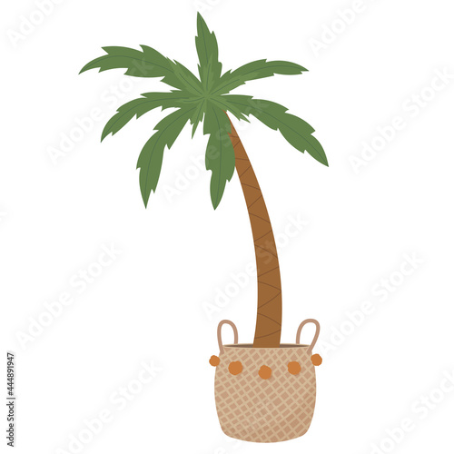 Home palm in a pot. Modern interior design for boho house or apartment. Hand drawn palm in wicker backet. Vector illustration isolated on white background