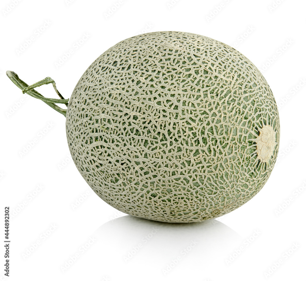 Cantaloupe melon isolated on white background Cantaloupe melon isolated on white background