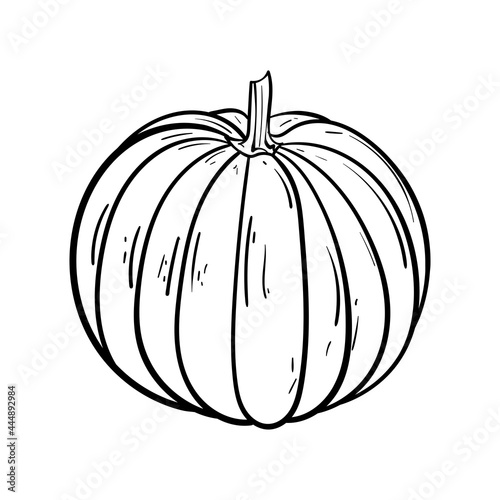 hand drawn pumpkin and ink. Scary greeting card and invitation party poster. Modern illustration concept. single element, icon, sticker, poster card. vegetable harvest autumn Halloween thanksgiving