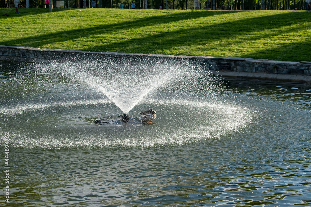 calor bajo la fuente