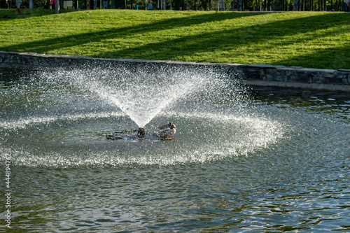 calor bajo la fuente