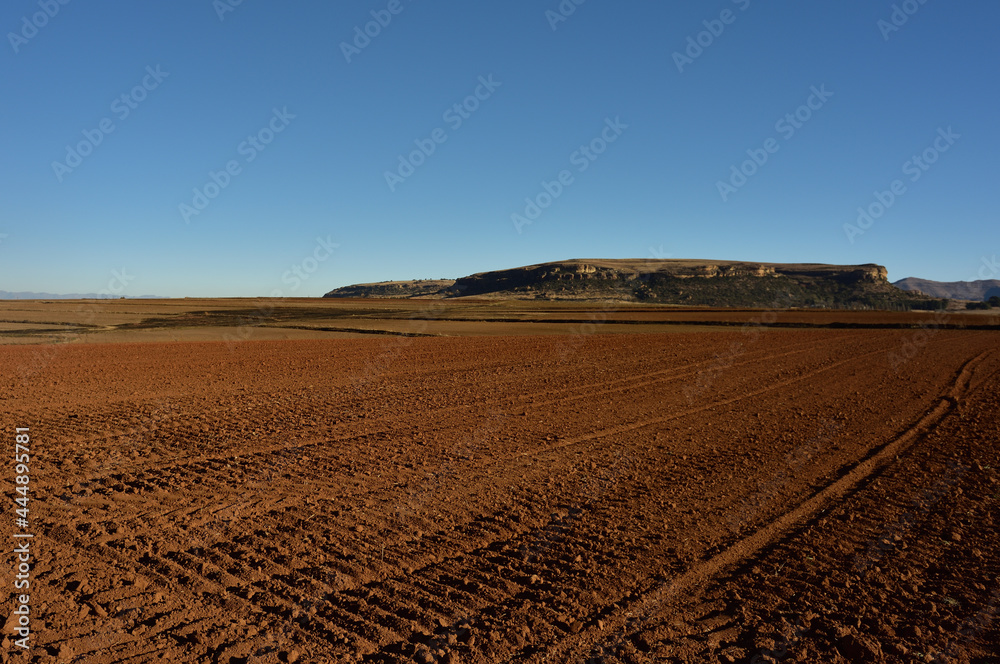 A freshly ploughed farmland with a typical Free State sandstone hill as a backdrop
