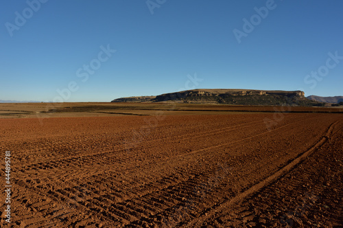A freshly ploughed farmland with a typical Free State sandstone hill as a backdrop