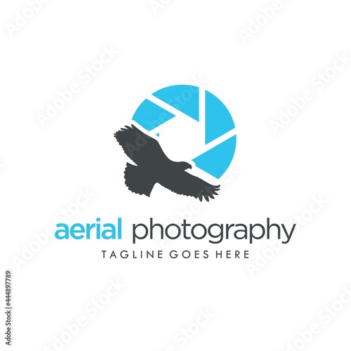 Aerial Photography Eagle Silhouette Logo Design