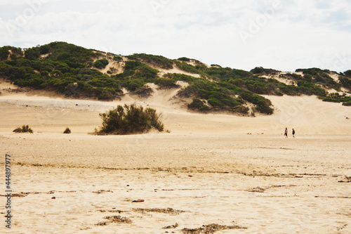 Solhouettes of people in sand dunes in the desert photo