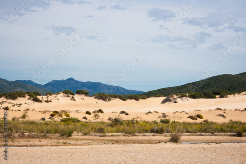landscape in the desert with mountains © Dina