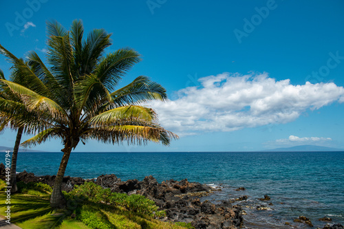 Beautiful beach in Aloha Hawaii. Tropical beach with palms. Holiday and vacation concept. Tropical beach.