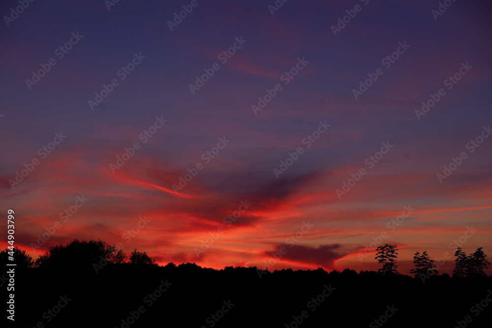 Fototapeta premium Dramatic red sunset against a blue sky with clouds over the forest. Beautiful cloudscape background. Dusk and dawn concept