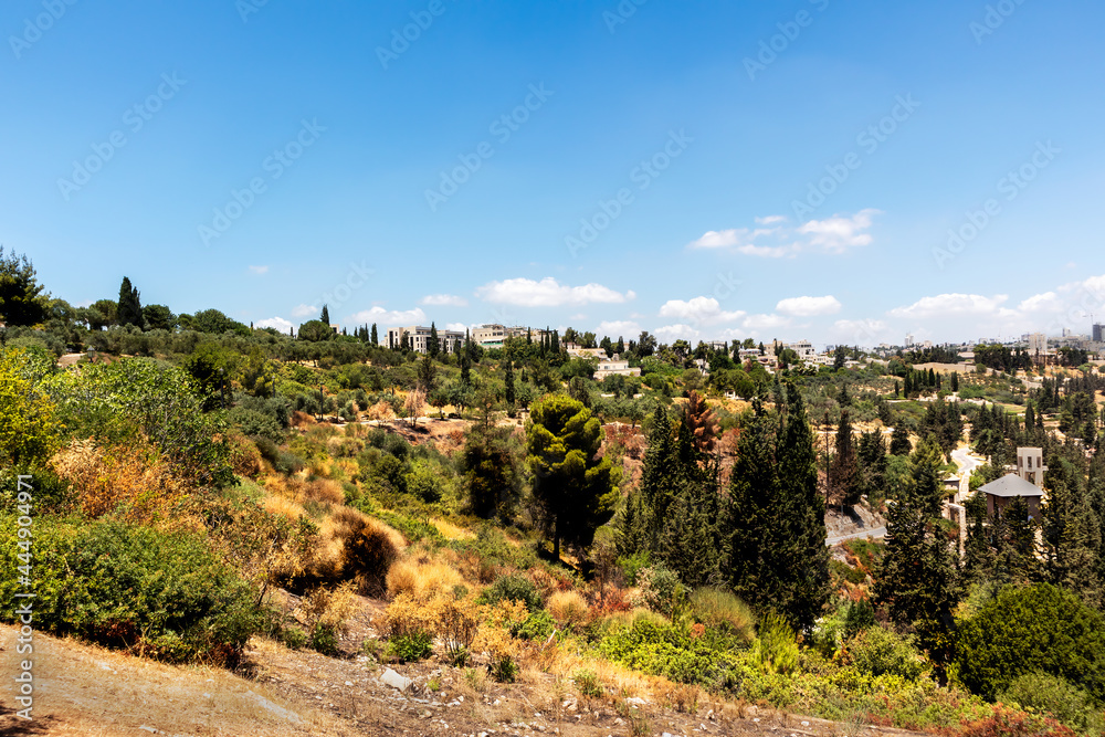Scenic Jerusalem Summer Landscape