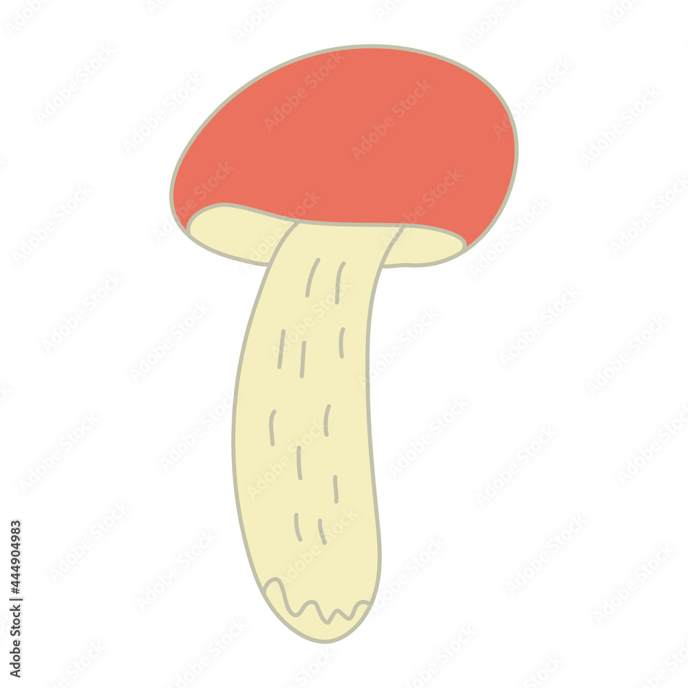 Red-cap boletus mushroom. Hand drawn doodle vector illustration with color outline isolated on white background. Red-cap boletus mushroom. Hand drawn doodle vector illustration with color outline isolated on white background.