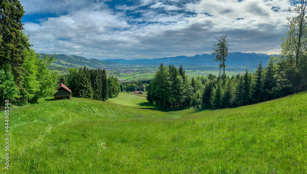 Panoramic view of the Swiss Alps, forest, mountains, sky.