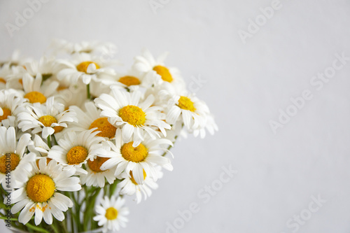 Daisy flowers bouquet in glass vase staying on wooden board. Home interior.