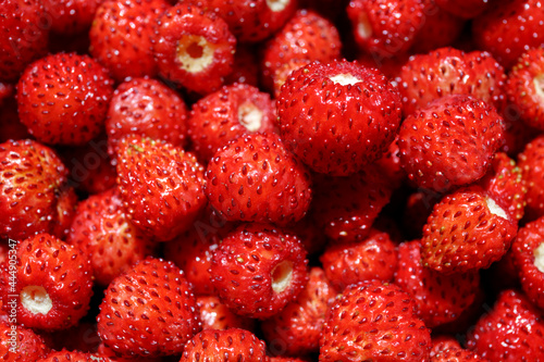 Wild Strawberries. Summer harvest of red forest strawberries