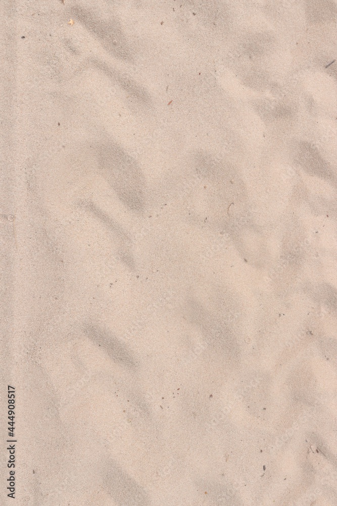 steppe sand. sand on the road beach, vacation, sea association, textured sand steppe sand. sand on the road beach, vacation, sea association, textured sand