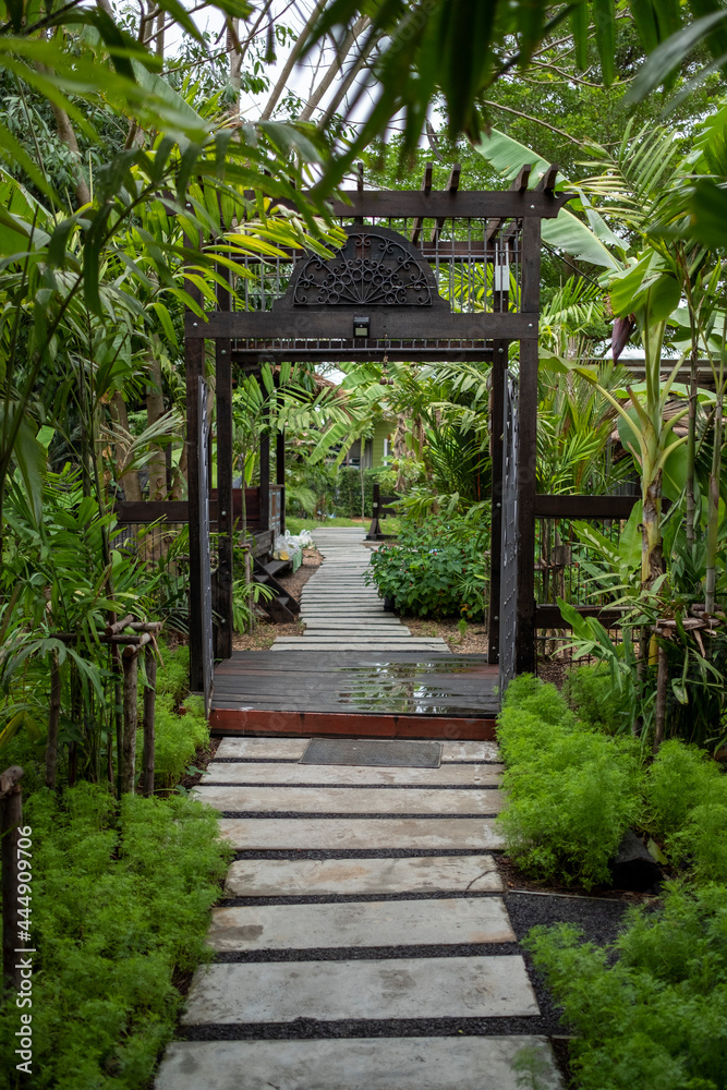 walkway in garden