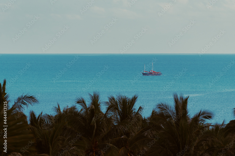 The yacht sails on the sea on a sunny summer day. Palm trees in the foreground. View from balcony. The yacht sails on the sea on a sunny summer day. Palm trees in the foreground. View from balcony.
