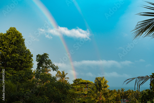 Double rainbow in the blue sky at sunset over the trees and sea. Palm leaves in the foreground. View from balcony.