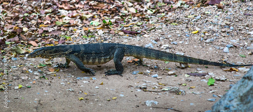 Phraya Nakhon Cave, Khua Kharuehat pavillion temple in Khao Sam Roi Yot National Park in Prachuap Khiri Khan, Thailand photo