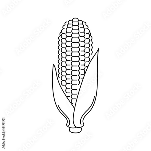Corn cob outline icon. Simple line vegetable sign. Black and white illustration of maize.