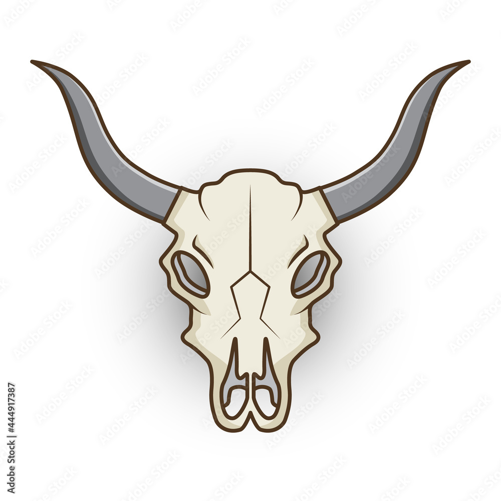 skull cow isolated in white skull cow isolated in white