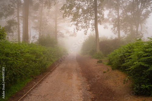 Moring excersise at Hindhead photo