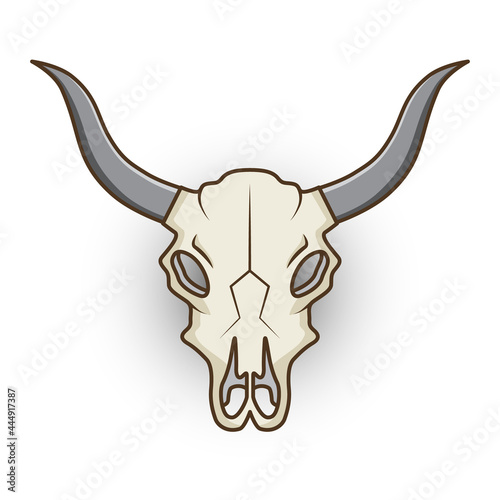 skull cow isolated in white
