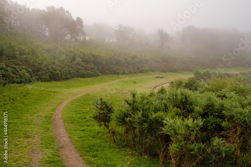 Moring excersise at Hindhead photo