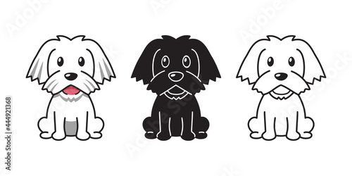 Fototapeta Naklejka Na Ścianę i Meble -  Vector cartoon set of maltese dog for design