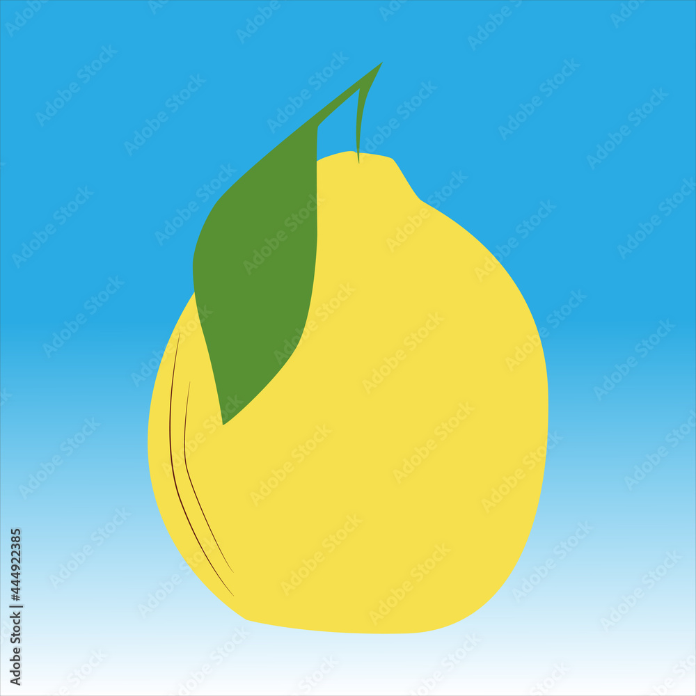 Lemon exotic fruit in flat design style illustration Lemon exotic fruit in flat design style illustration