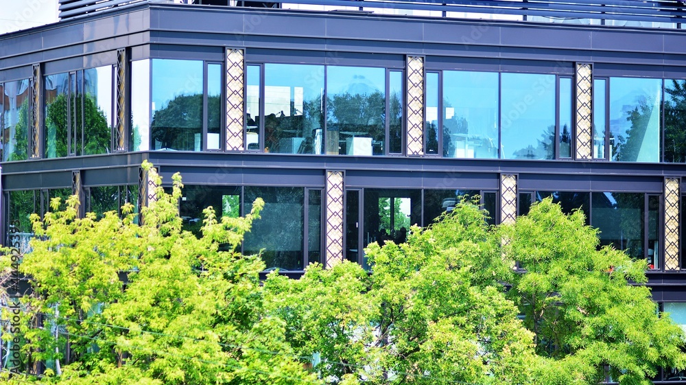 Eco architecture. Green tree and glass office building. The harmony of nature and modernity. Reflection of modern commercial building on glass with sunlight. Eco architecture. Green tree and glass office building. The harmony of nature and modernity. Reflection of modern commercial building on glass with sunlight.