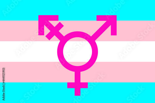 Transgender flag with icon symbol inside. Vector illustration
