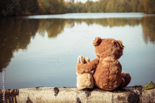 Photographie Lonely brown teddy bear hugs fluffy stuffed toy bunny sitting on fallen birch tr