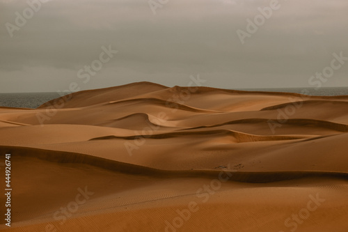 sand dunes in the desert