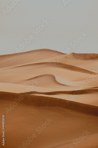 sand dunes in the desert