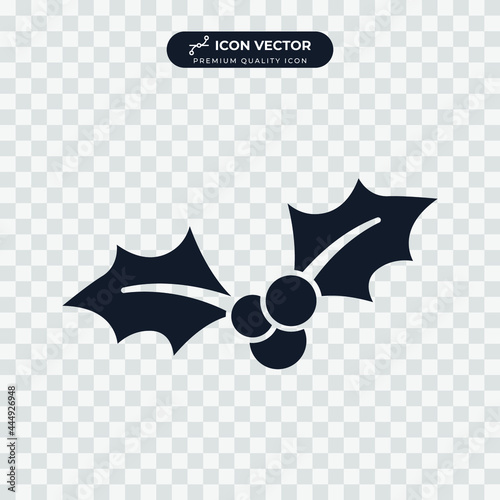 holly berry icon symbol template for graphic and web design collection logo vector illustration