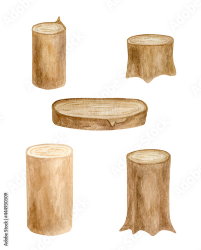 Watercolor wood stumps set. Hand drawn tree stubs, wooden slice isolated on white. Rustic decoration, natural eco style design