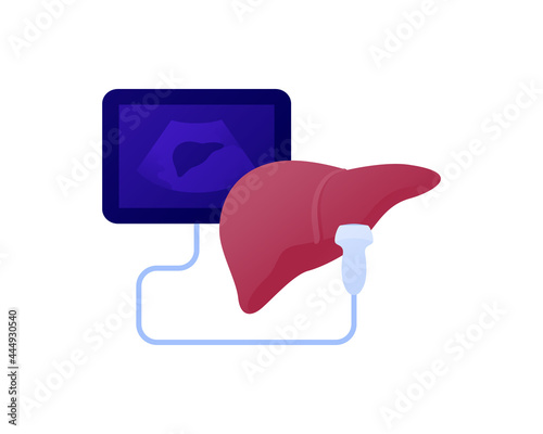 Medical ultrasound procedure concept. Vector flat healthcare illustration. Hepatology and liver diagnostic color icon symbol. Ultrasonography device symbol. Design for health care.