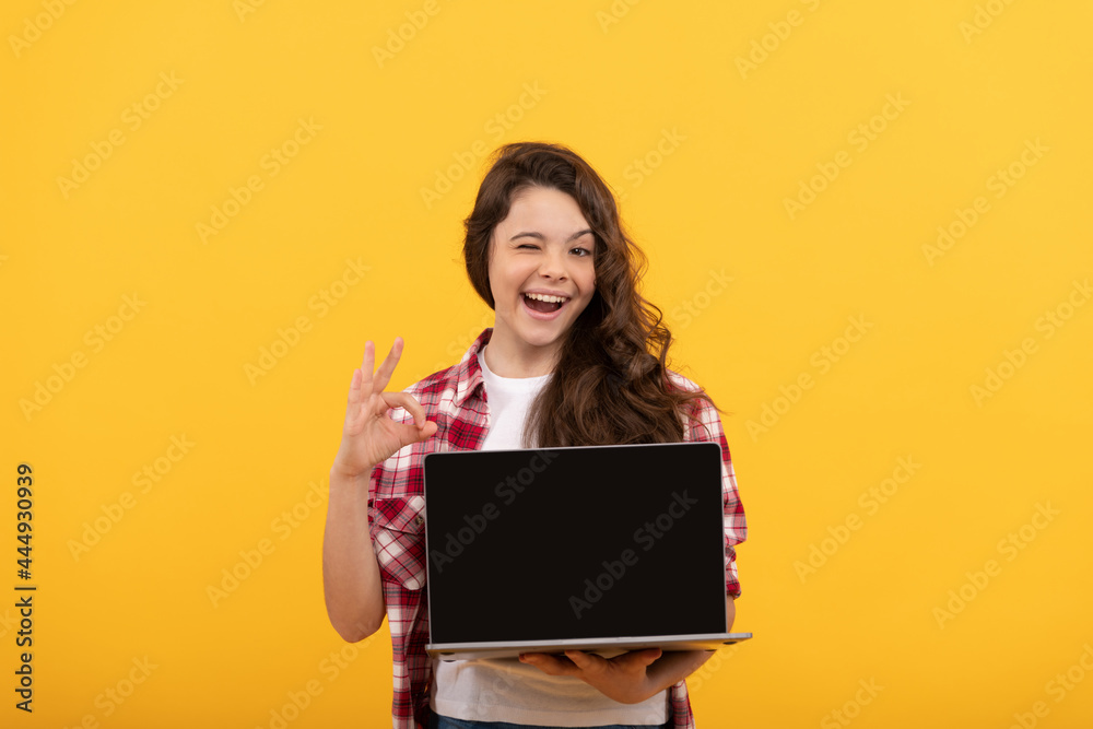 happy smart child presenting laptop at school online lesson show ok gesture, online education