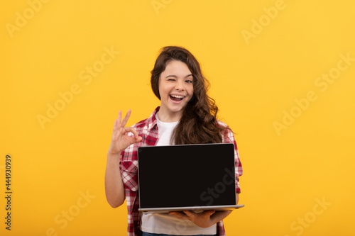 happy smart child presenting laptop at school online lesson show ok gesture, online education