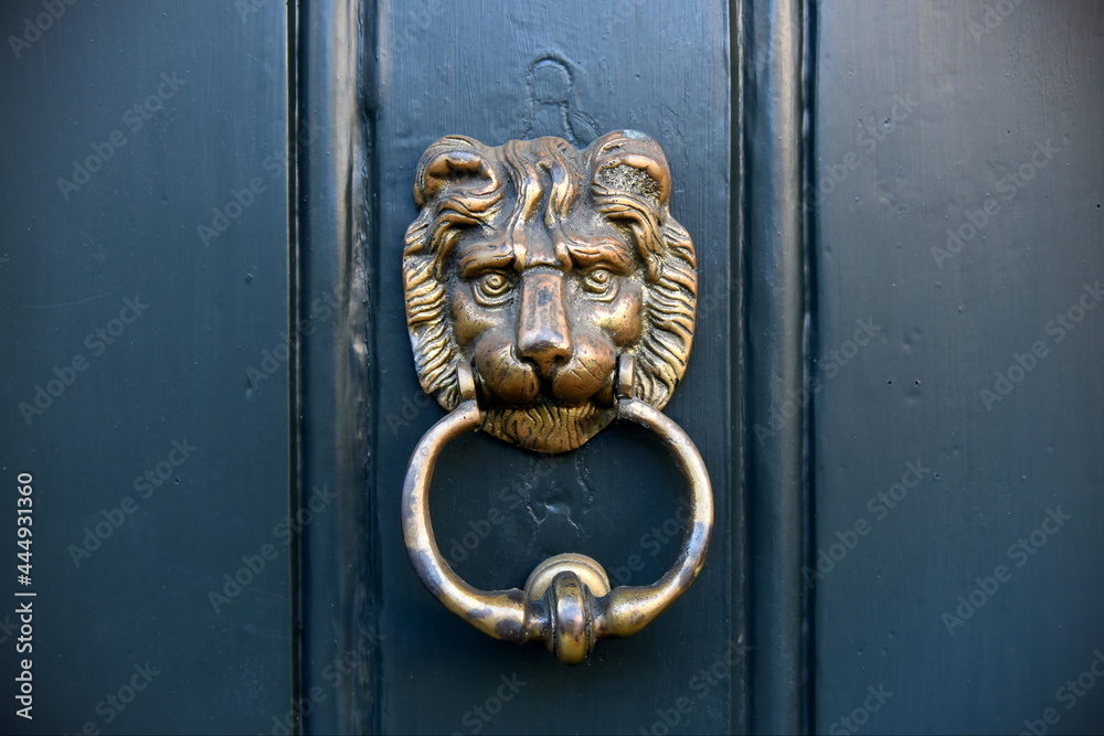 lion head knocker