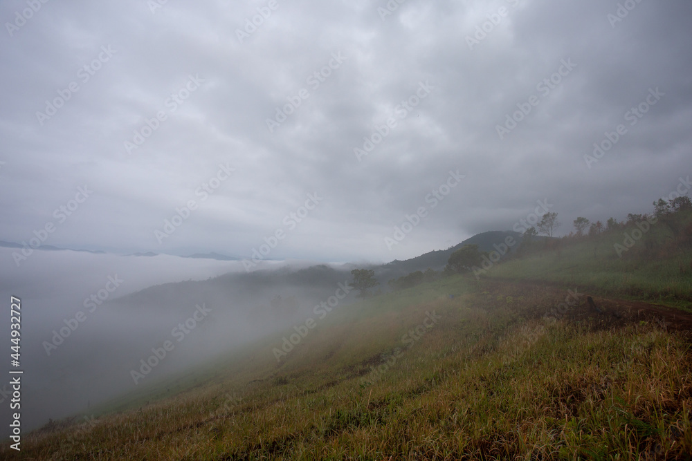 The misty mountain range in the morning is very beautiful. Gives a cool and refreshing feeling hill tribe cultivation area Background image and space for text The misty mountain range in the morning is very beautiful. Gives a cool and refreshing feeling hill tribe cultivation area Background image and space for text