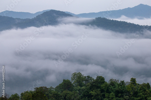 The misty mountain range in the morning is very beautiful. Gives a cool and refreshing feeling Background image and space for text