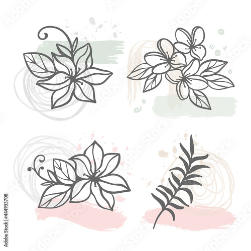 ABSTRACT LINE FLOWERS Floral Sketch With Hydrangea Jasmine Sakura Flowers And Branch On White Background Botanic Cartoon Clip Art Vector Illustration Set