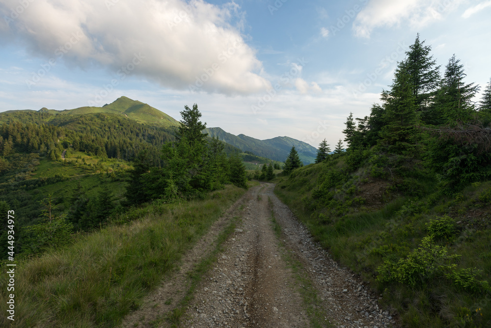 Road in european mountains