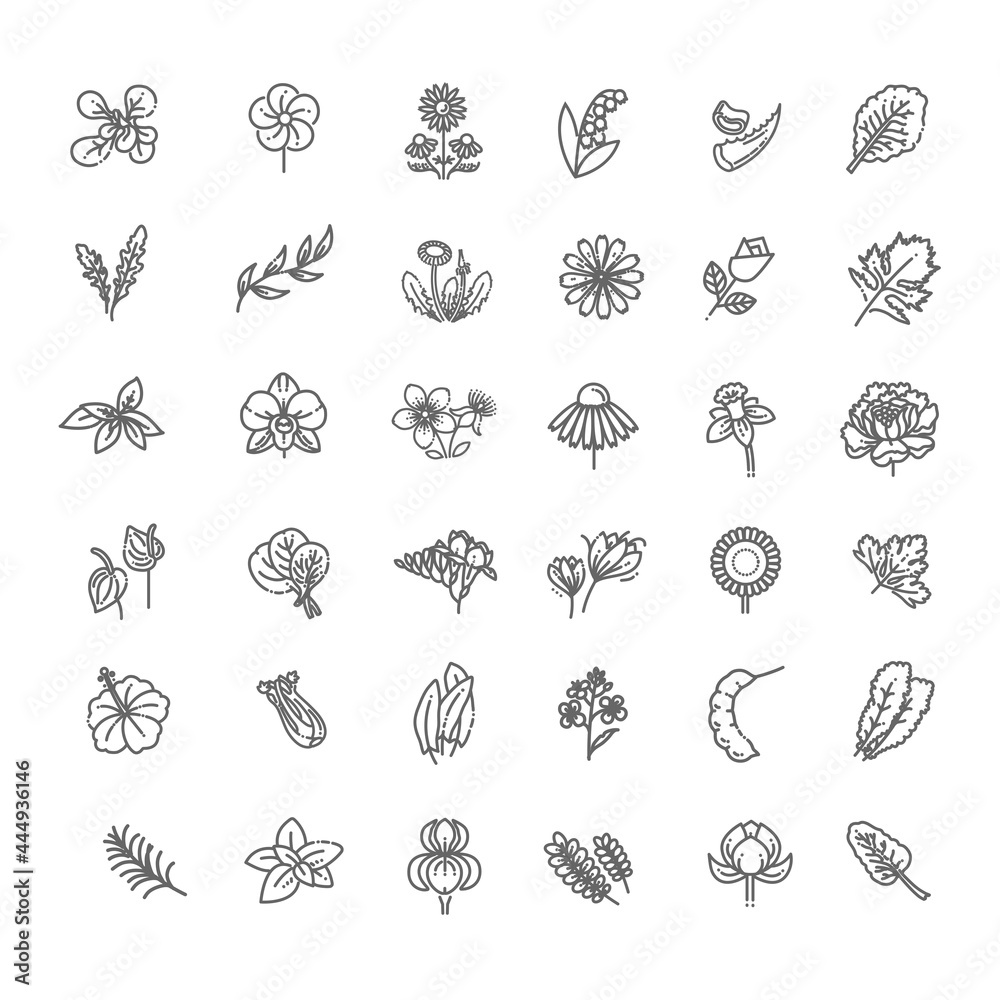 Set of flowers and herbs icon in flat design Set of flowers and herbs icon in flat design