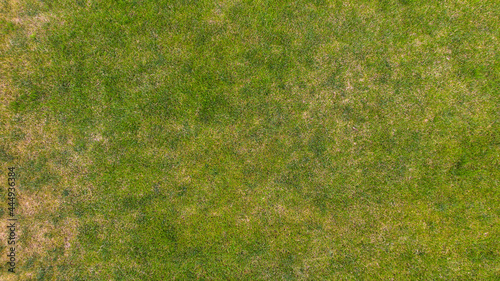 Lawn grass texture background. Top view from drone.