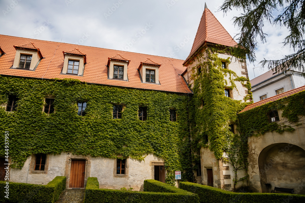 Benesov nad Ploucnici, North Bohemia, Czech Republic, 26 June 2021: old saxoxy renaissance castle at summer sunny day, stone towers with spiers, ivy braided beige walls, green trees at the street